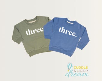 Sudadera para el tercer cumpleaños de niño. Camiseta de tercer cumpleaños. Top de cumpleaños para niño. Azul pizarra y verde oliva. Número 3. Palabra tres.