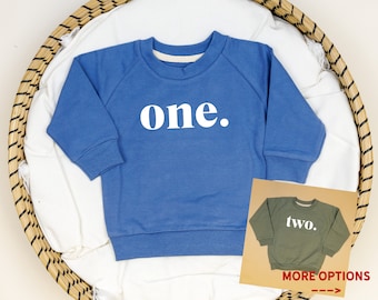 Boys Birthday Sweatshirt with One, Two, or Three. 1st, 2nd, 3rd Birthdays.  Boys Birthday Top. Slate Blue Olive Green.