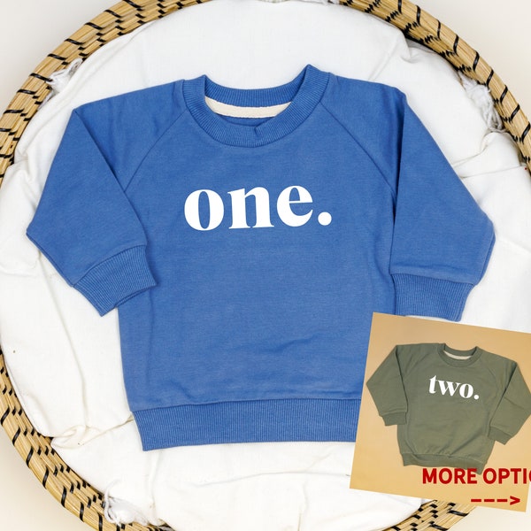 Boys Birthday Sweatshirt with One, Two, or Three. 1st, 2nd, 3rd Birthdays.  Boys Birthday Top. Slate Blue Olive Green.