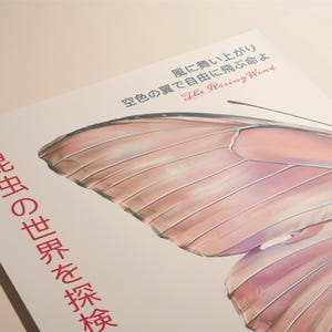 May include: A book cover with a pink butterfly wing design. The text on the cover reads "The Rising Wind" and "昆虫の世界を探検" in Japanese.