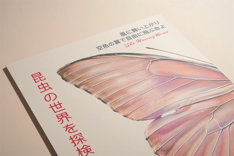 May include: A book cover with a pink butterfly wing design. The text on the cover reads "The Rising Wind" and "昆虫の世界を探検" in Japanese.