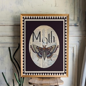 Vintage Moth print, folk insect art, magic art print, vintage Aesthetic art, moths art print, Nature art, moths wall art, moths poster
