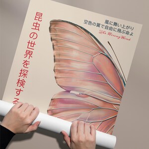 May include: A poster with a large, detailed illustration of a butterfly wing in shades of pink and peach. The text "The Rising Wind" is written in black lettering, and the text "空色の翼で自由に飛ぶ命よ" is written in red lettering. The text "昆虫の世界を探検する" is written in red lettering on the left side of the poster.