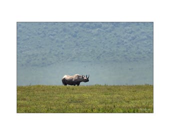 African Wildlife - Distant Black Rhino in the Ngorongoro crater in Africa - Wall Art Photograph - Matted White Default