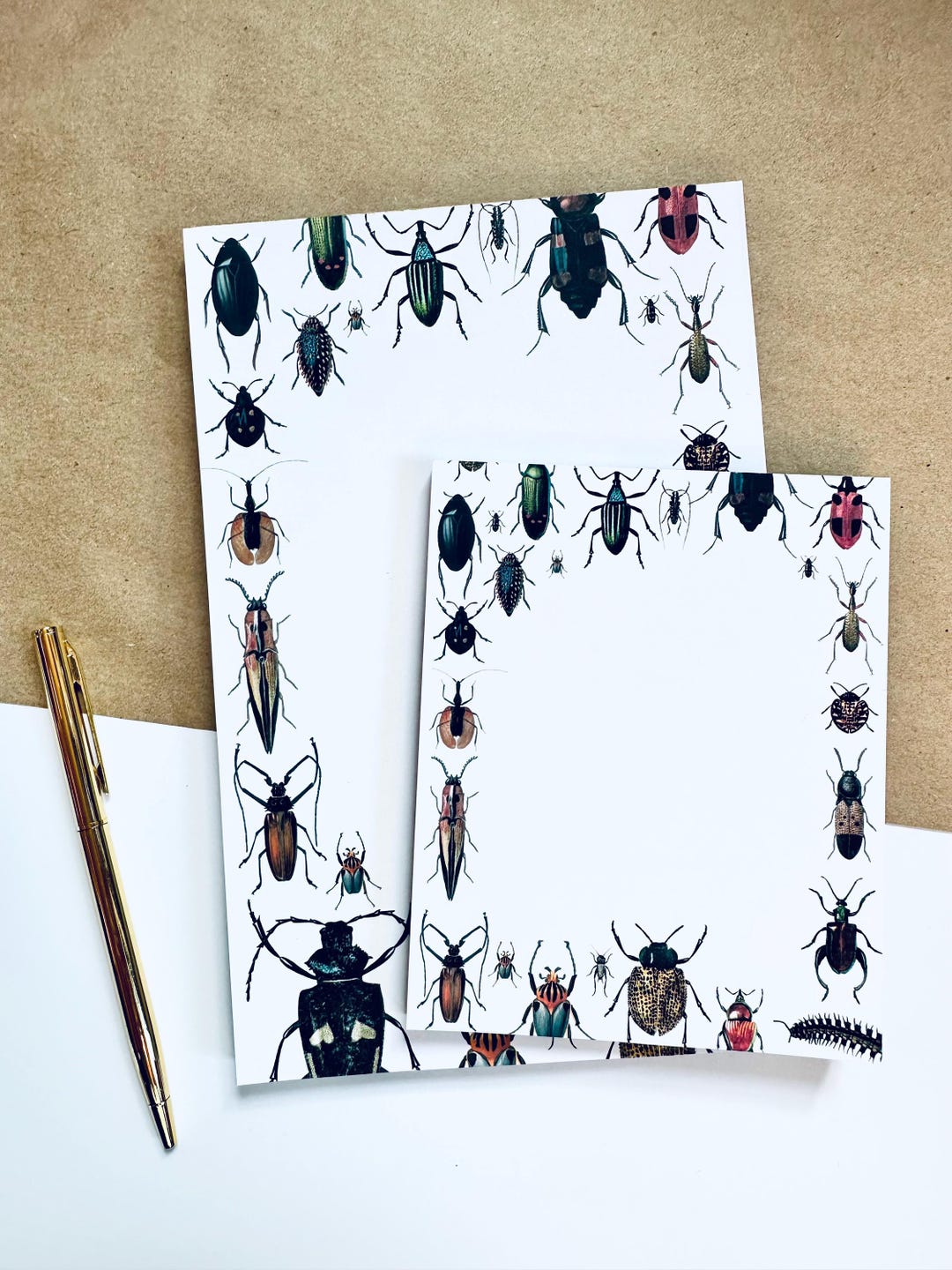 Beetle & Bug Notepad: Half Letter Illustrated Stationery - Etsy