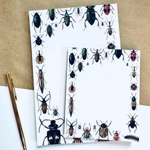 Bloc de notas de ensueño para coleccionistas de amantes de la naturaleza, escarabajos, insectos y bichos espeluznantes, media carta, cuarto de página, bloc de notas de 50 páginas/lista de tareas pendientes, regalo para él