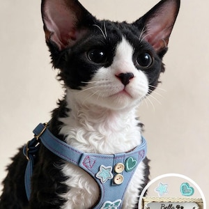 May include: A black and white Devon Rex cat wearing a light blue denim harness decorated with embroidered star, heart, and bow patches, plus two small wooden buttons. A circular inset shows a metal ID tag engraved with Bella and 123-456-7890.