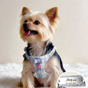 May include: A light blue and white plaid dog harness featuring a small bow, a pink flower, a light blue star, and a teal flower patch. A metal identification tag is attached, engraved with the name Molly, a bone icon, and the number 123-456-7890.