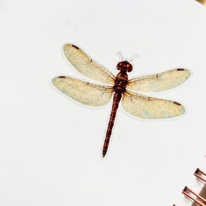Adesivo in vinile trasparente opaco con libellula acquerellata, adesivo lucido ispirato al vintage, adesivo realistico con natura e insetto, regalo per diario