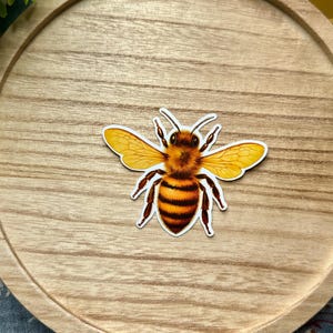 Vinylsticker honingbij vintage geïnspireerde sticker realistische hommel natuur sticker waterdichte vinyl insect sticker voor laptops en tijdschriften