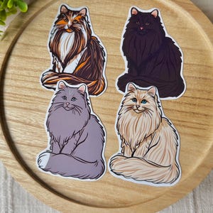 Ensemble d'autocollants pour chats, cadeau pour les amoureux des chats, adorables chats à poil long