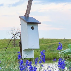 Ready-To-Assemble Birdhouse Kit, Bonding Project, Crafts To Do Together, Grandchild Gift, Poly Bluebird House, Build-Your-Own Birdhouse