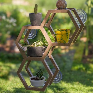 May include: A brown, honeycomb-shaped wall shelf with three hexagonal compartments, attached to a window with clear suction cups. The shelf holds a small cactus in a gray pot, a yellow pot with a trailing plant, a dark bowl, and a white pot.