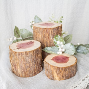 May include: Three rustic wooden tree stump slices of varying heights. The tops of the stumps reveal a reddish-brown center. The bark is a textured brown. Greenery and white berries are arranged around the stumps.