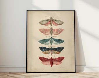Vintage Motte Wandkunst, Naturgeschichte Insekt Poster, Dark Academia Entomologie Druck, antike Käfer Illustration