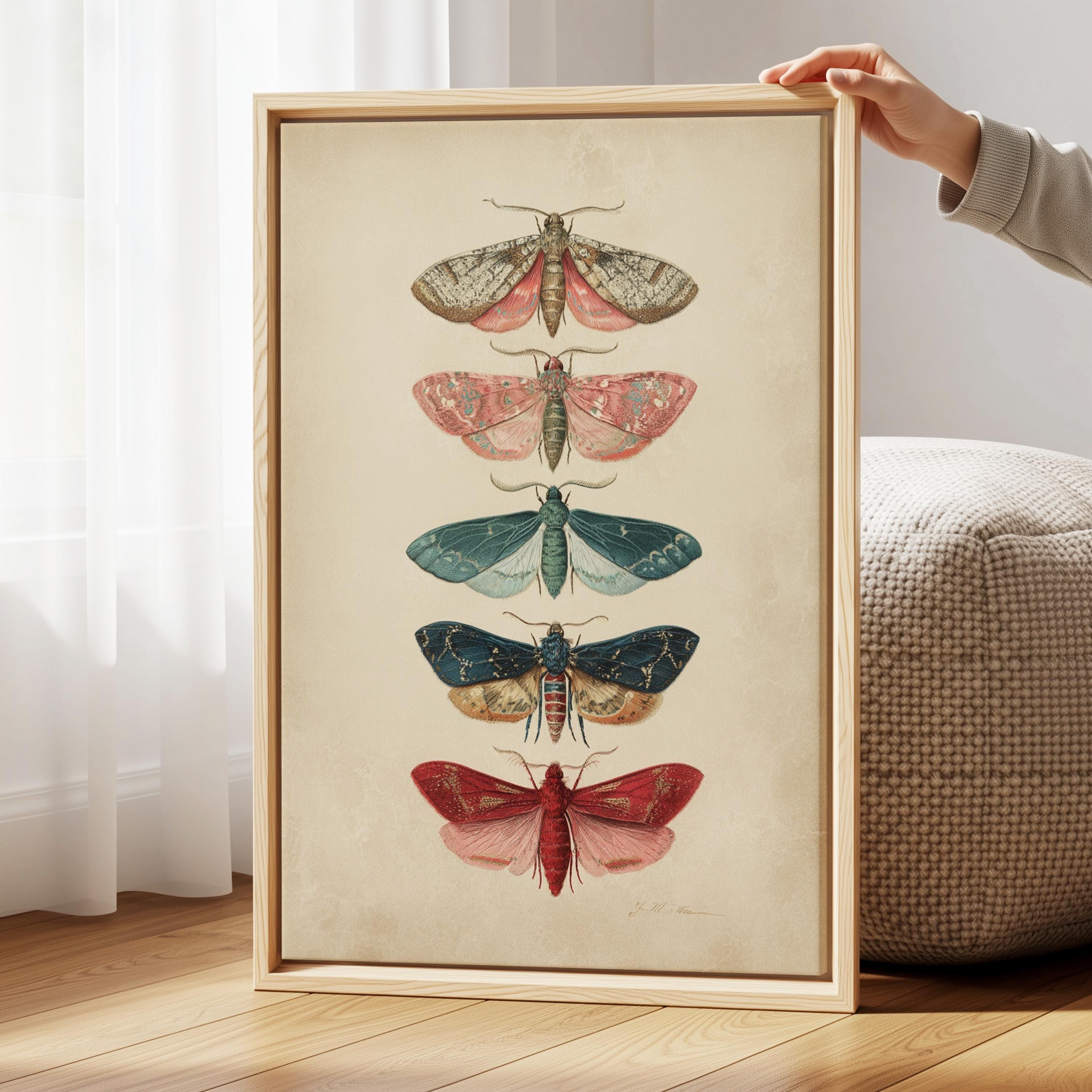 Vintage Moth Wall Art, Natural History Insect Poster, Dark Academia ...