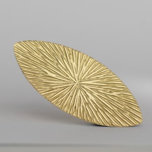 May include: A gold-colored, oval-shaped decorative piece with a textured, sunburst design.