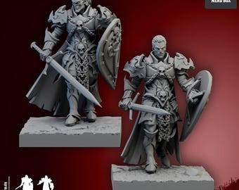 May include: Two gray miniature figures of a warrior in armor, holding a sword and shield. The figures are on a rectangular base, each measuring 25 mm x 25 mm, and are 35 mm tall. The armor features skull details and chain accents.
