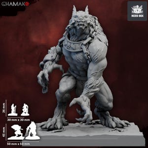 Pode incluir: Figura cinzenta e detalhada de um lobisomem, em pé com uma expressão ameaçadora. A figura tem uma constituição muscular, garras e um peito coberto de pele. Ele está usando uma armadura e correntes. A base mede 50 mm x 50 mm.