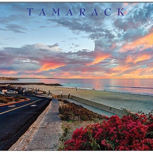 Tamarack Beach Note Card