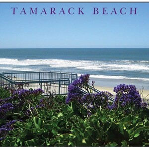 Spring at Tamarack Note Card