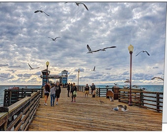 Oceanside Pier Birds Note Card
