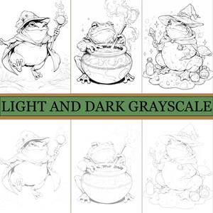 May include: Black and white grayscale illustrations of a frog wizard in various poses. The frog is wearing a wizard hat and cloak, holding a staff with a glowing orb, and stirring a cauldron. The text "LIGHT AND DARK GRAYSCALE" is at the bottom.