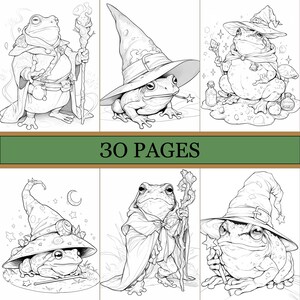 May include: Black and white illustrations of whimsical frogs dressed as wizards, each with a unique hat and staff. The image includes the text "30 PAGES" on a green banner, suggesting a coloring book or activity book.