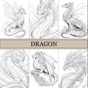 May include: A collection of six black and white line drawings of dragons. The dragons are in various poses, some with wings, some with horns, and some with scales. The drawings are all very detailed and intricate.