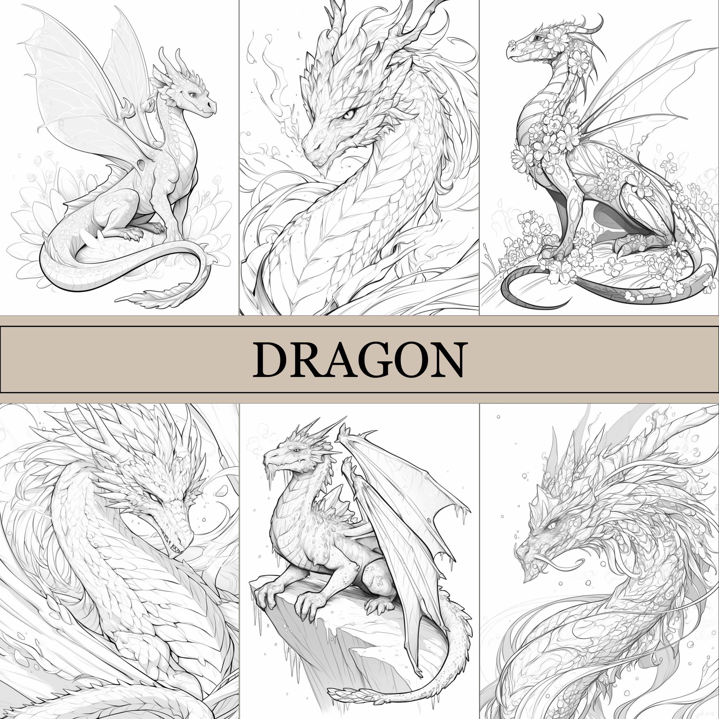 Dragon coloring page - Etsy België, image size:2418x2418