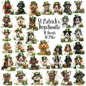 St. Patricks Day Hundebündel, glücklicher Hund Sublimationsentwurf, niedliches Goldendoodle, St. Paddys Art Clipart. St Patrick's Dog Bundle, Glückshund
