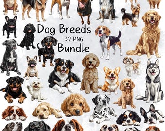 Aquarell Hunderassen Clipart, 32 Hunderassen Clipart Bundle, Hund Clipart PNG, süße Hunderasse Illustration, Haustiere Clipart SVG digitaler Download
