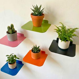 Pode incluir: Cinco prateleiras quadradas de parede nas cores verde-limão, rosa, laranja, azul e preto, cada uma com uma pequena planta em vaso. As plantas incluem uma suculenta em vaso de terracota, um cacto em vaso cinza, uma samambaia e outras plantas.