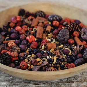 Pumpkin Spice Simmering Potpourri | Rustic Home Fragrance, Refresher Oil Incl.