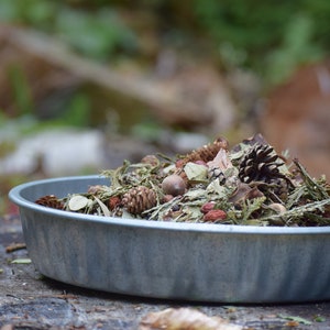 May include: A round, silver-colored metal pan filled with a collection of natural forest elements, including small brown pinecones, dried green cedar sprigs, smooth acorns, and various dried botanical pieces arranged in a loose, textured pile.