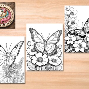 May include: Three black and white coloring pages featuring butterflies and flowers. Each page has a different butterfly and flower design.
