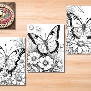 May include: Black and white line art coloring page featuring a butterfly with detailed wings and a floral background.