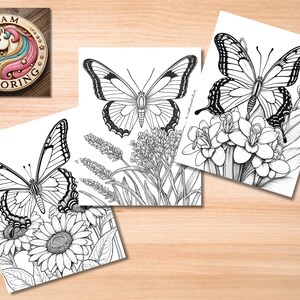 May include: Three black and white coloring pages featuring butterflies with detailed wings and floral designs. The butterflies are perched on flowers and plants.