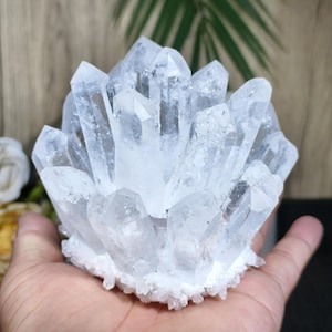 May include: A cluster of clear quartz crystals, showcasing a multitude of pointed formations. The crystals are translucent with a slightly frosted appearance, and are arranged in a radial pattern. The base of the cluster has a rough, textured surface.