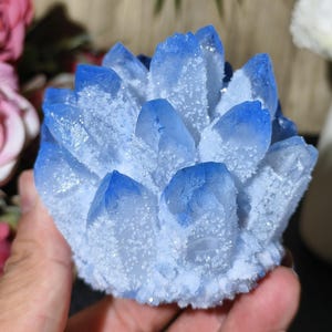 Könnte beinhalten: Ein Cluster aus blauen Kristallen mit gefrosteten Spitzen. Die Kristalle sind in einem radialen Muster angeordnet, mit einem Farbverlauf von hellblau bis zu einem tiefen Blau an den Spitzen. Die Kristalle werden in einer Hand gehalten, mit rosa und roten Rosen im Hintergrund.