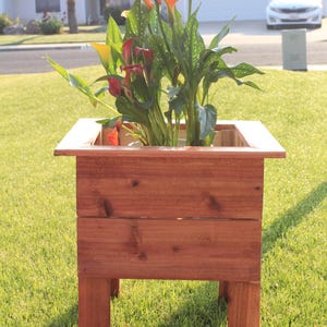 Prachtige cederhouten plantenbak DIY-plannen voor 16 x 16 x 19 inch