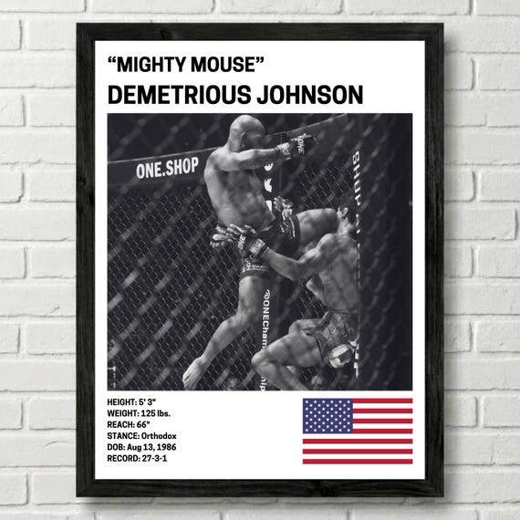 Demetrious Johnson Poster, Fighter Wall Art Decor, UFC, Mixed Martial Arts Print, mma Canva for Home Gym, Sports Fan Wall Decor, Man Cave