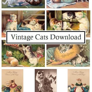 Immagini di cartoline di gatti d'epoca Immagini di effimeri antichi Diario spazzatura Gatti Gattini Download digitale