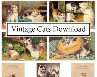 Vintage Cat Postcard Images Antique Ephemera Junk Journal Cats Kittens Digital Download