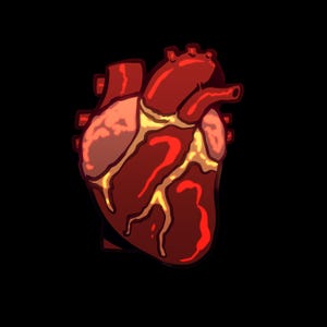 Anatomical Heart Sticker