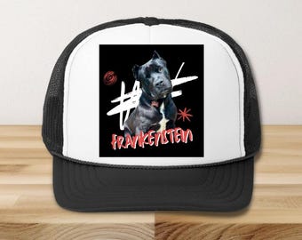 Aangepaste Pitbull-pet, gepersonaliseerde pet met foto van huisdier, cadeau hondenliefhebber