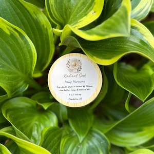 Op de afbeelding: Een ronde pot met een houten deksel, met het opschrift "Radiant Soul Hemp Harmony", ligt te midden van weelderige groene en geelgerande bladeren. Het etiket vermeldt de ingrediënten en het nettogewicht van het product, 85g / 100 mg. De pot is omgeven door weelderig gebladerte.