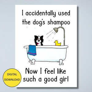 Funny Greeting Card Postcard – INSTANT DOWNLOAD – Printable Card Post Card - I Accidentally Used the Dog's Shampoo