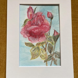 Una rosa