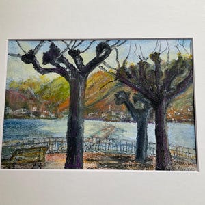 Arbres à Lac de Côme
